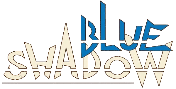 Jeu Blue Shadow NES - Occasion - Complet Et Testé - Envoi Rapide